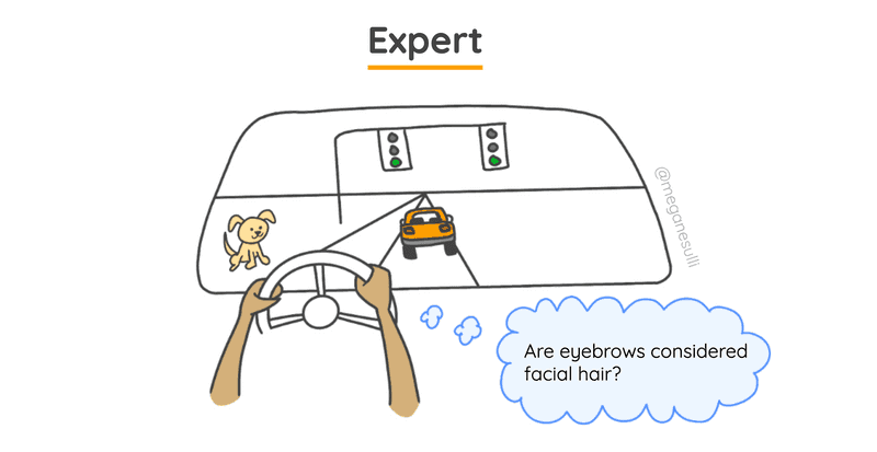 The same point-of-view of a person driving a car, but from an expert driver's perspective. They see the same things through the windshield as the beginner, but there's only one thought bubble: "Are eyebrows considered facial hair?"